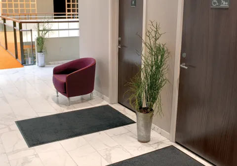 Tapis entrée commerce location netexial